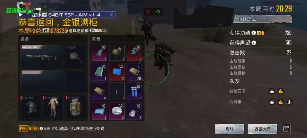和平精英「毛豆直装」辅助外挂